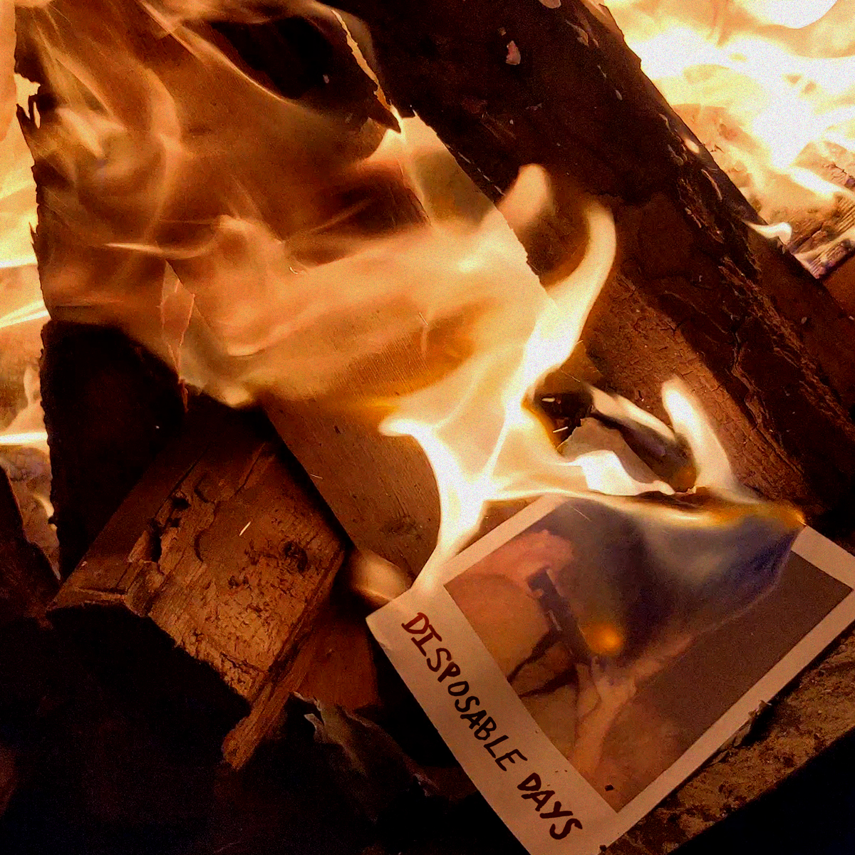 Disposable Days